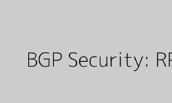 Featured image of post A Deep Dive into BGP Security: RPKI
