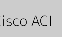 Featured image of post A Deep Dive into Cisco ACI (Application Centric Infrastructure)