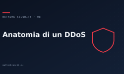 Featured image of post Anatomia di un DDoS