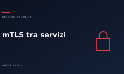Featured image of post mTLS: autenticare i servizi, non solo i server