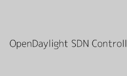 Featured image of post A Deep Dive into the OpenDaylight SDN Controller