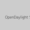 A Deep Dive into the OpenDaylight SDN Controller