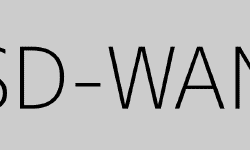 Featured image of post The Evolution of the WAN: An Introduction to SD-WAN